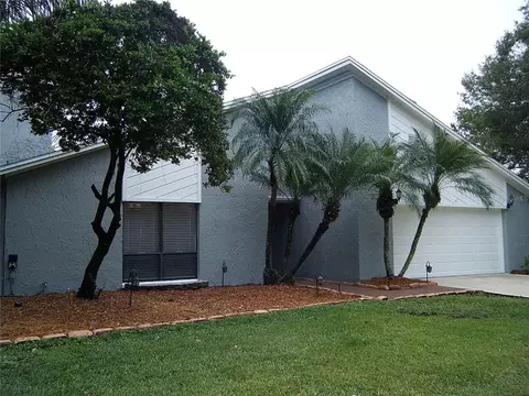 3354 Foxridge Cir, Tampa, FL 33618