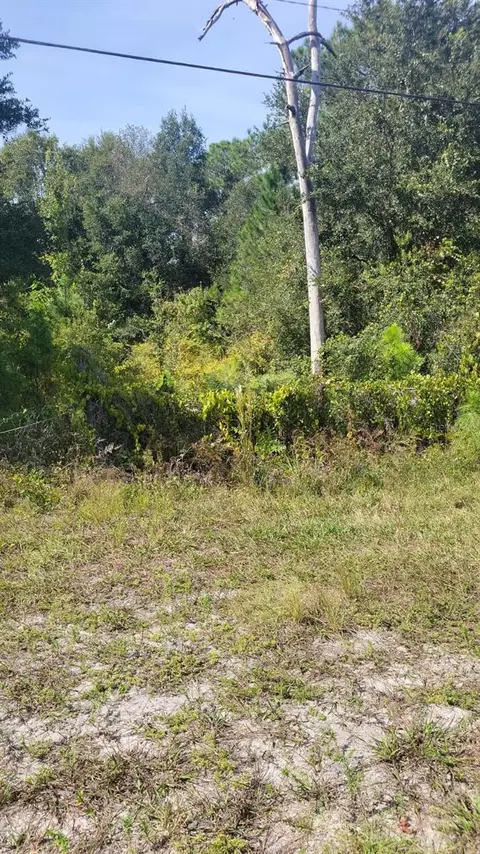 18068 Commonwealth Ave N, Polk City, FL 33868