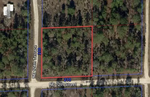 0 NE 12th St, Williston, FL 32696