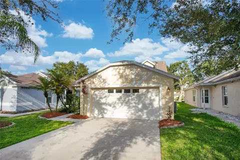6648 Summer Cove Dr, Riverview, FL 33578