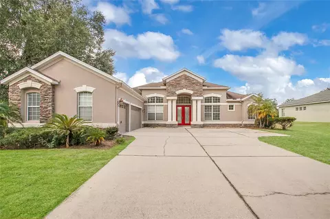 1019 Emerald Hill Way, Valrico, FL 33594