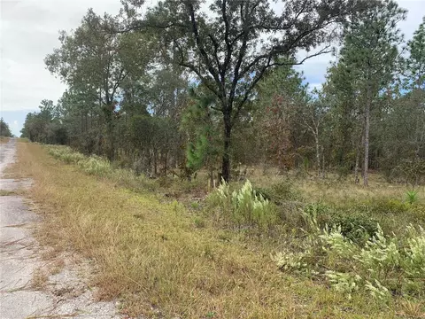 Se 134 Ct, Dunnellon, FL 34431