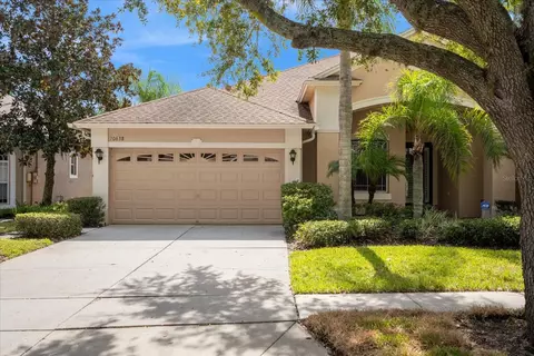 20638 Amanda Oak Ct, Land O Lakes, FL 34638