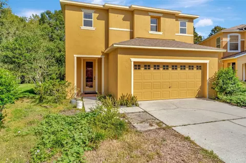 2516 Silvermoss Dr, Wesley Chapel, FL 33544