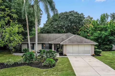 4100 Dora Wood Dr, Mount Dora, FL 32757