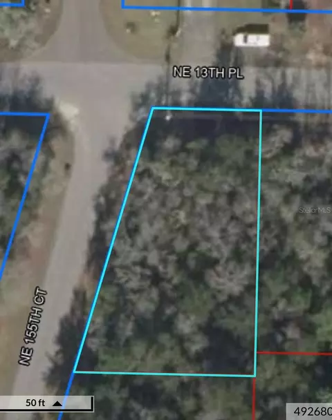 Ne 13th Pl, Williston, FL 32696