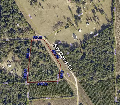 642 SW Coles Ct, Fort White, FL 32038