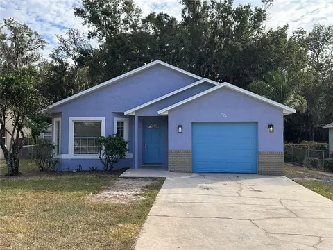 224 E 17th St, Apopka, FL 32703
