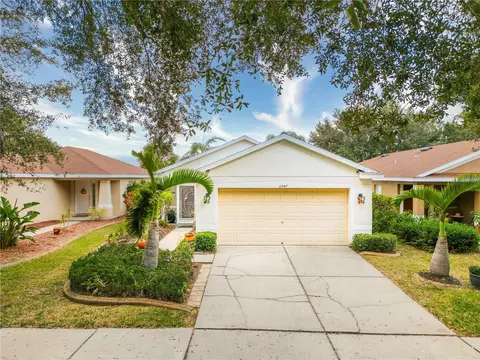 11547 Crestlake Village Dr, Riverview, FL 33569