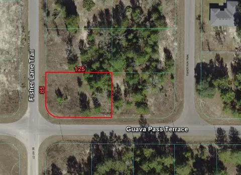 0 Fisher Lane Trl, Ocklawaha, FL 32179