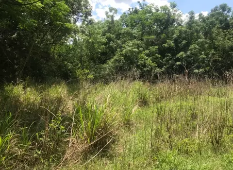 Wadsworth Road, Mount Dora, FL 32757