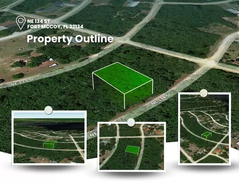 Ne 134th St, Salt Springs, FL 32134