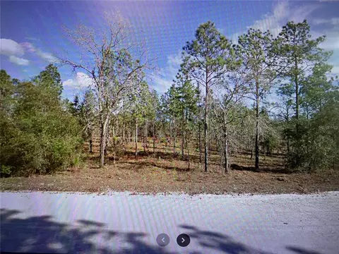 2301 SE 150th Ave, Morriston, FL 32668