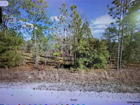 2321 SE 150th Ave, Morriston, FL 32668