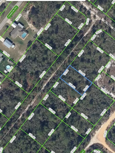 203 Wilson Ave, Lake Placid, FL 33852