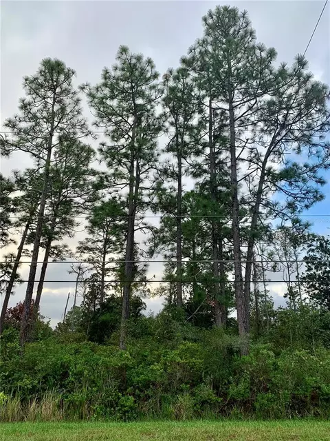 000 Ralston St, Orlando, FL 32833