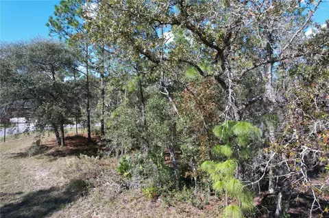 133 Rd Ln, Ocala, FL 34473