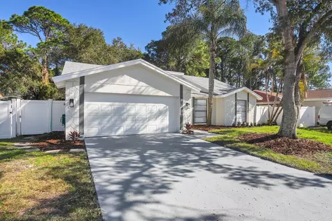 8205 Pennywell Pl, Tampa, FL 33615