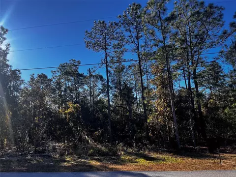 1522 E Cleveland St, Hernando, FL 34442