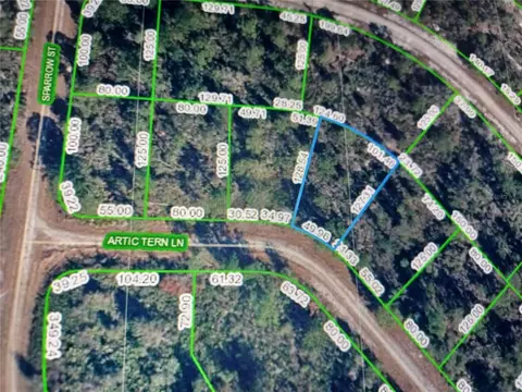 3259 Artic Tern Ln, Lake Placid, FL 33852