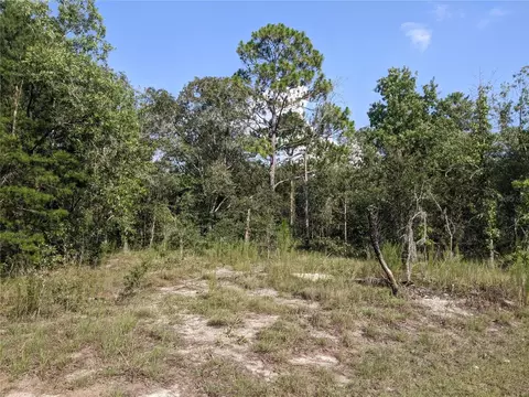 Undisclosed, Spring Hill, FL 34610