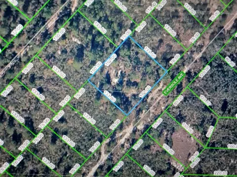 128 Eversole Ave, Lake Placid, FL 33852