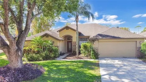 17318 Hubers Ct, Odessa, FL 33556