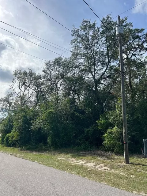 Trailwood Drive, Apopka, FL 32712