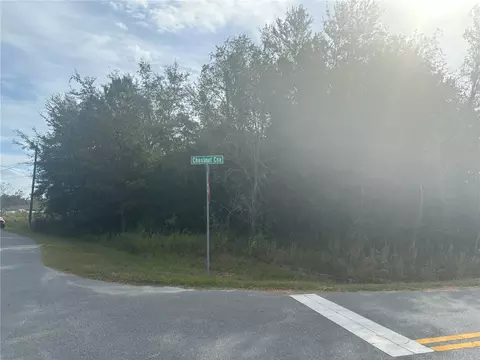 Juniper Loop Court, Ocala, FL 34480