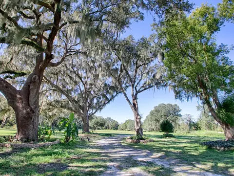 Bloomfield Avenue, Yalaha, FL 34797