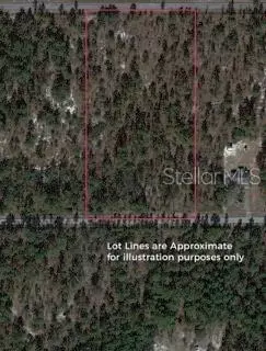 Tbd SW Big Bear Ridge, Dunnellon, FL 34431