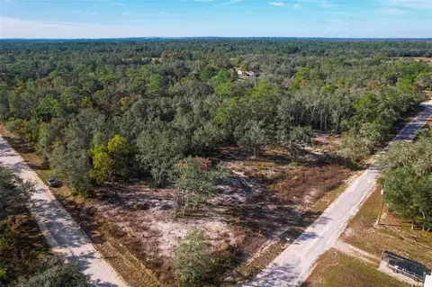 34424 Primrose Ln, Webster, FL 33597 photo 1