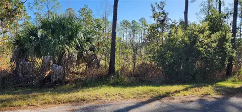 Lot 5 Banyan Street, Eustis, FL 32736