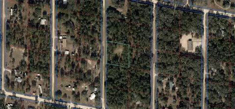 731 NE 137th Ave, Williston, FL 32696