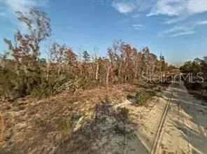 NE 13th Place, Williston, FL 32696