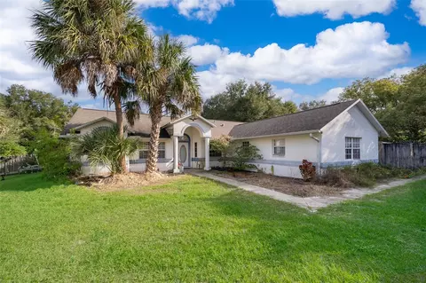 4205 Laughlin Rd, Mount Dora, FL 32757