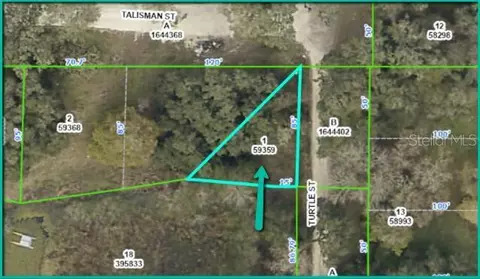 3209 Turtle St, Dade City, FL 33523