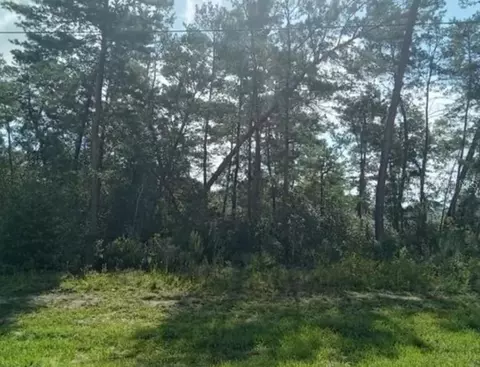 Tbd SW 38th Circle, Ocala, FL 34473