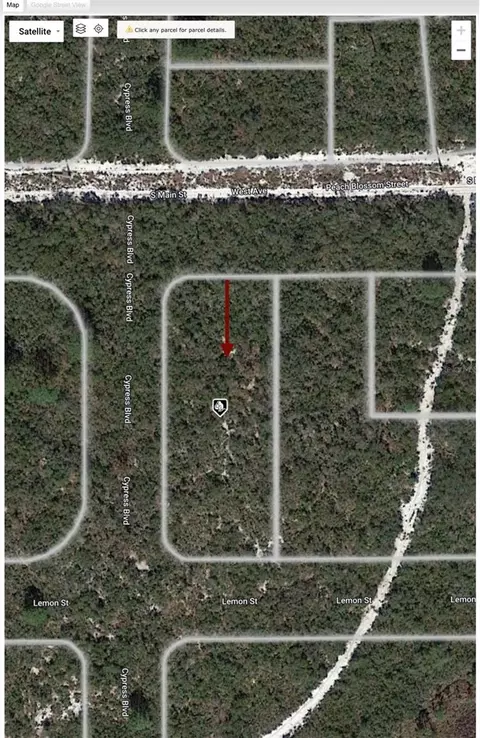 5800 Peach Blossom St #LOT 1, Sebring, FL 33870