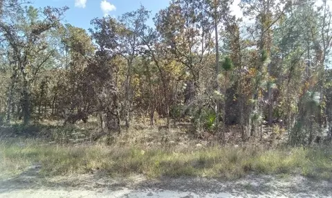 00000 SW 95th Pl, Dunnellon, FL 34432