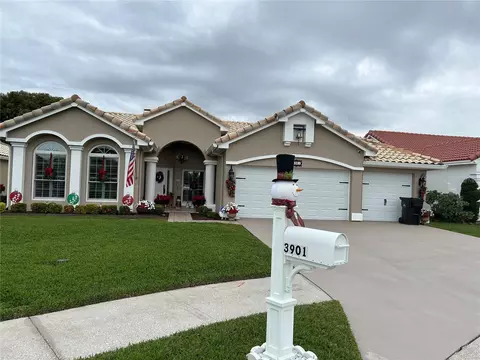 3901 Woodsfield Ct, Orlando, FL 32822