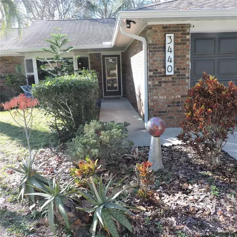 3440 Mary Ln, Mount Dora, FL 32757
