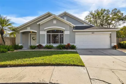 8829 Cypress Hammock, Tampa, FL 33614
