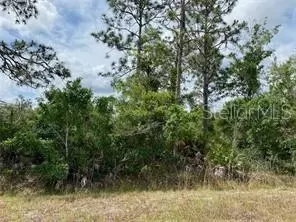 Sheldon St., Orlando, FL 32833