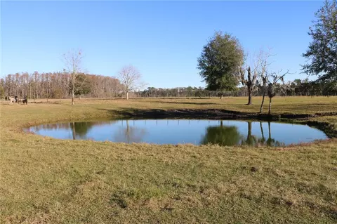 4922 Mount Pleasant Rd, Groveland, FL 34736