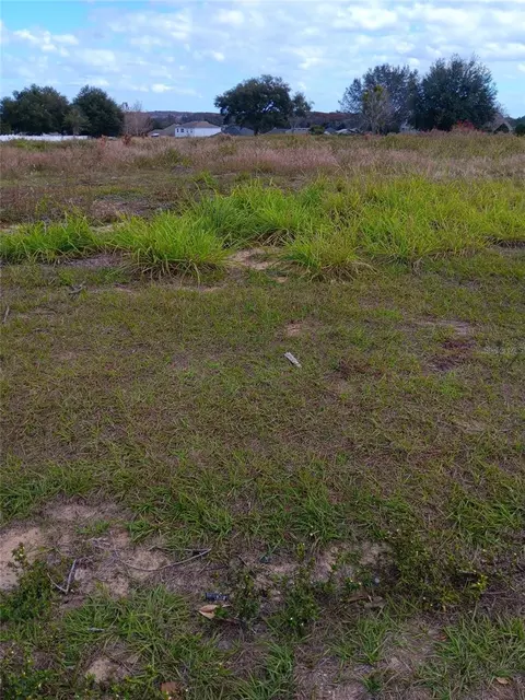 000000 Sleepy Hollow Rd, Leesburg, FL 34748
