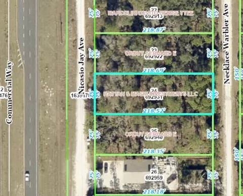 Necklace Warbler Avenue, Weeki Wachee, FL 34614