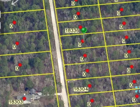 Macek Road, Weeki Wachee, FL 34614
