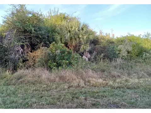 1237 Birchcrest Blvd, Port Charlotte, FL 33952