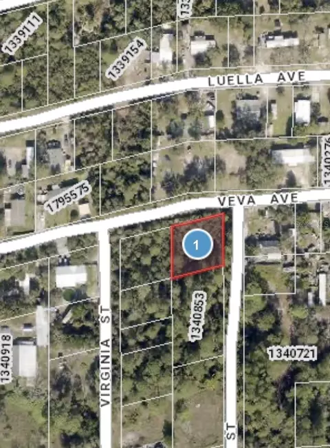 Veva Avenue, Paisley, FL 32767
